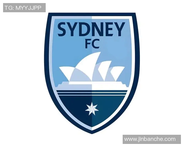 惠灵顿与悉尼FC对决前瞻分析及比赛结果预测